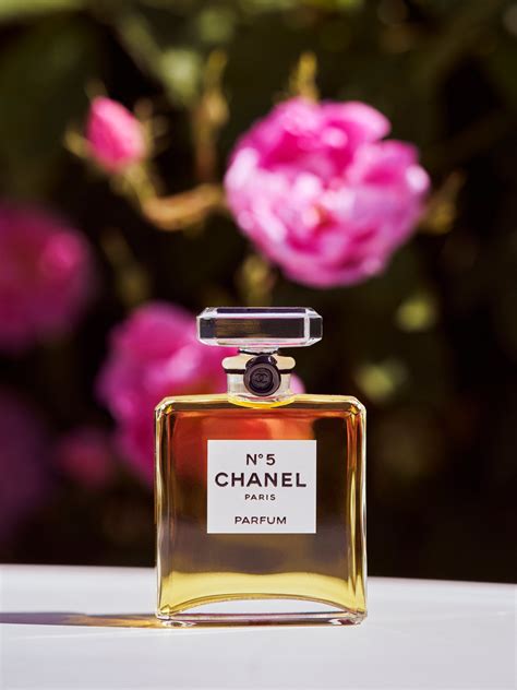 chanel fleur de grasse|Why Lancôme and Chanel are buying up flower fields in Grasse.